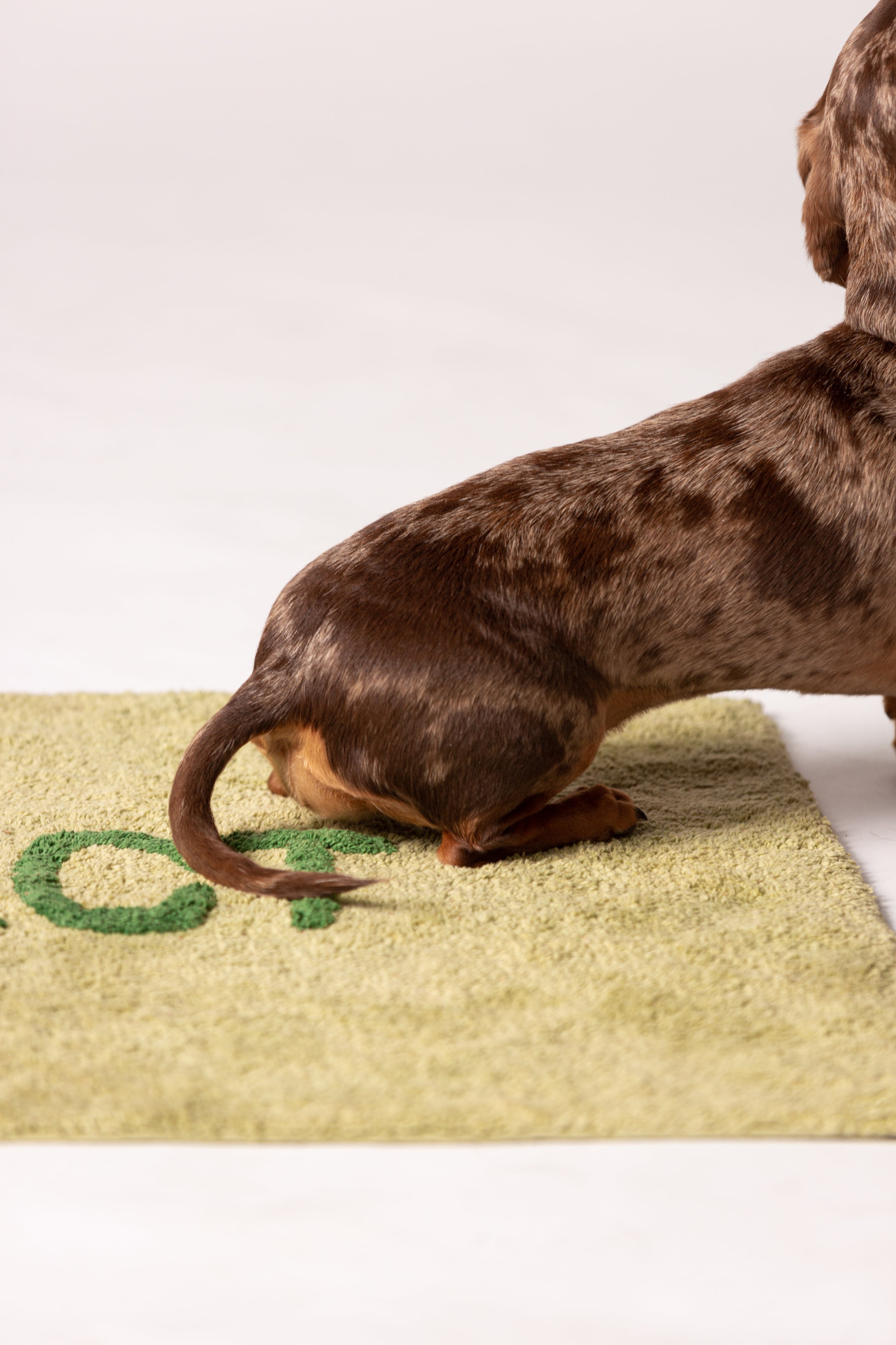 Pawfect Bath Mat - Green (X-Large)